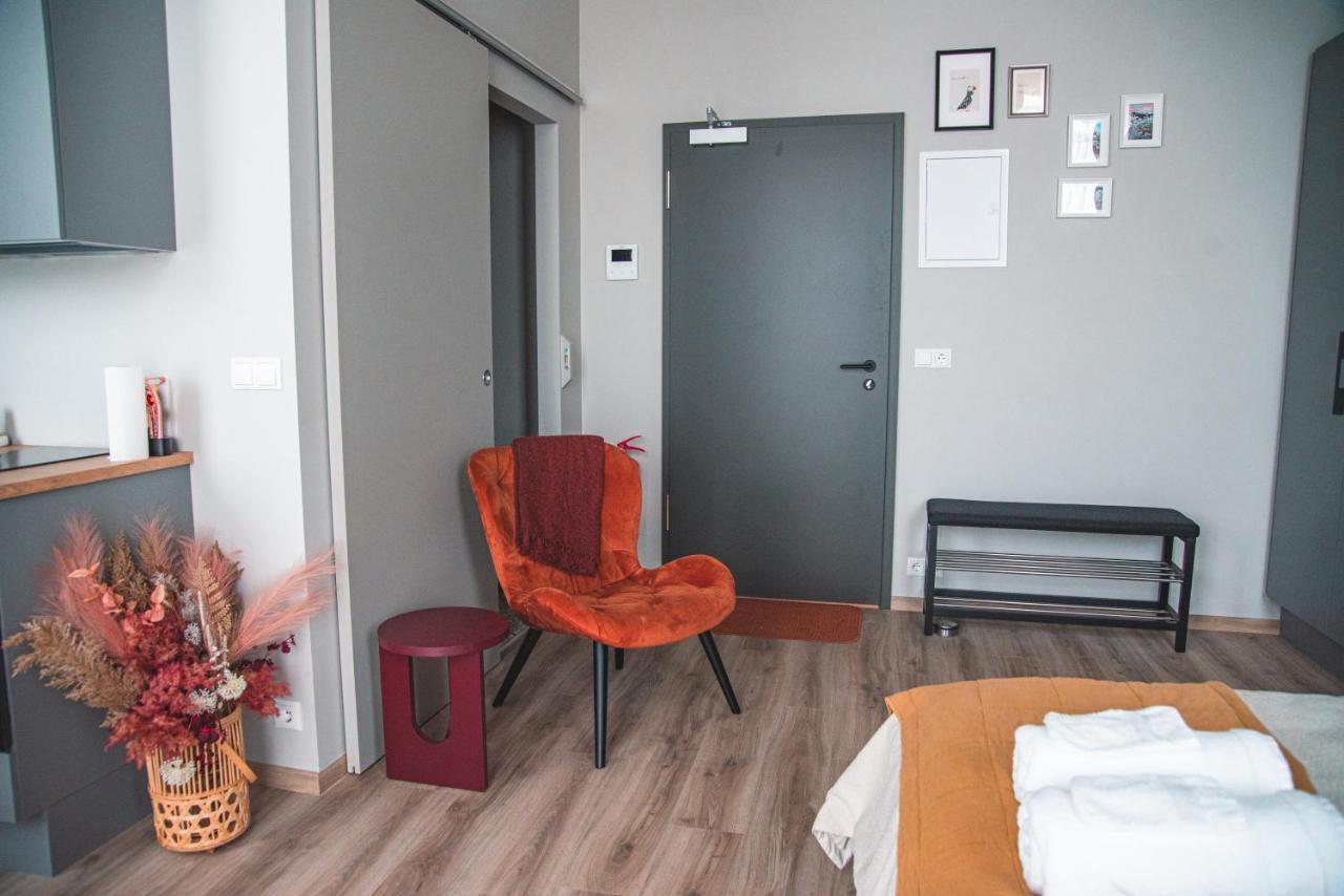 Апартаменти Cozy Studio By The City Centre Рейк'явік Екстер'єр фото