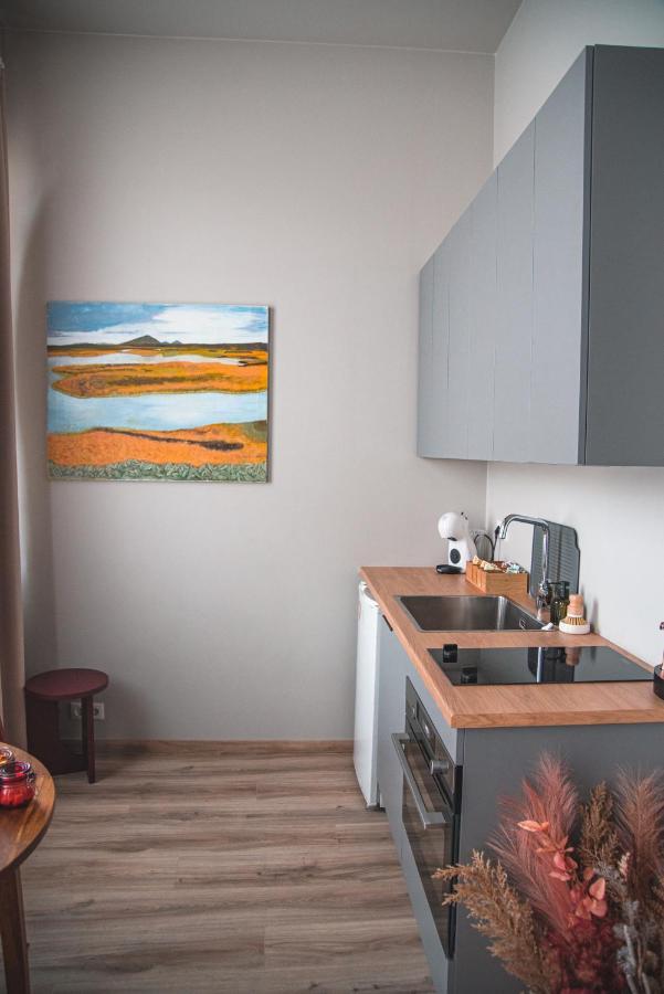 Апартаменти Cozy Studio By The City Centre Рейк'явік Екстер'єр фото
