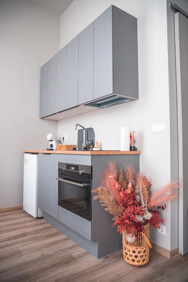 Апартаменти Cozy Studio By The City Centre Рейк'явік Екстер'єр фото